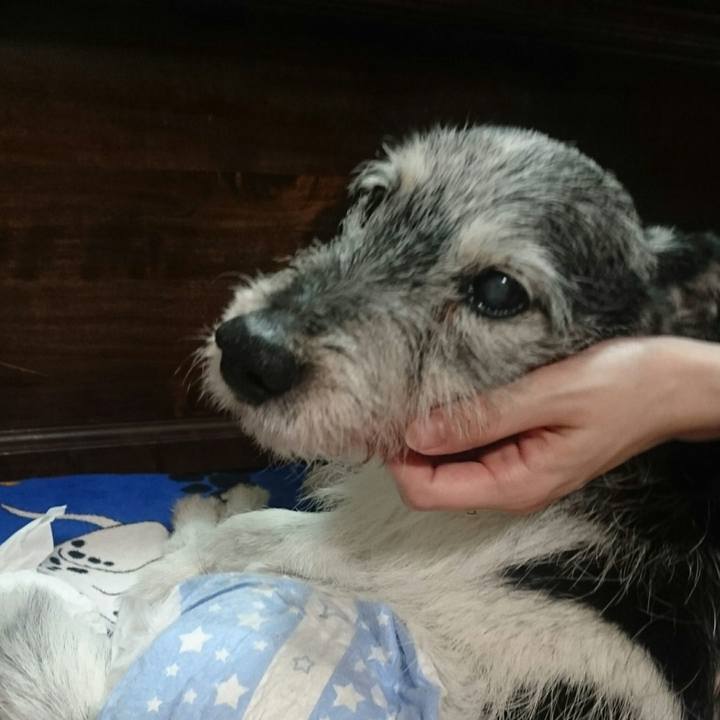 A4b3946f 8785 48de aabd e28142a1fc93