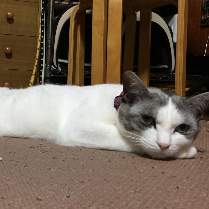 A4b43846 8d25 47ac 80f9 ce66c05903ba