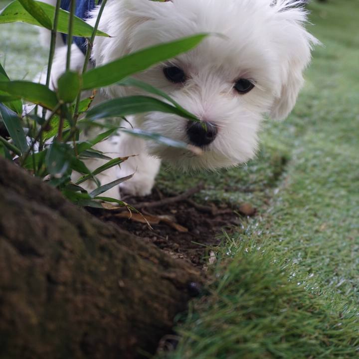 A4b49eba 7c3f 42e6 bf18 f57b36983b81