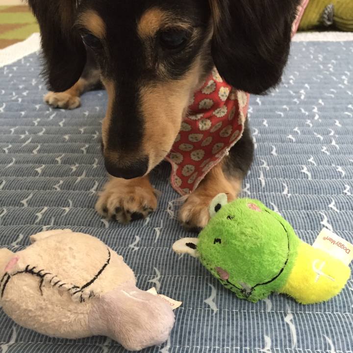 A4b4a30e f560 43ae 93ad 8a4f9583c32f