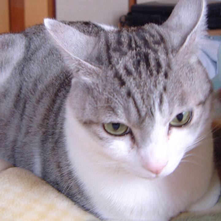 A4b54bd9 7904 4b11 b6d0 3ff3c630a434