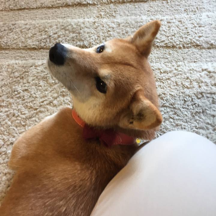 A4b54c4e 46ea 48eb 8beb 19e757bd51c5