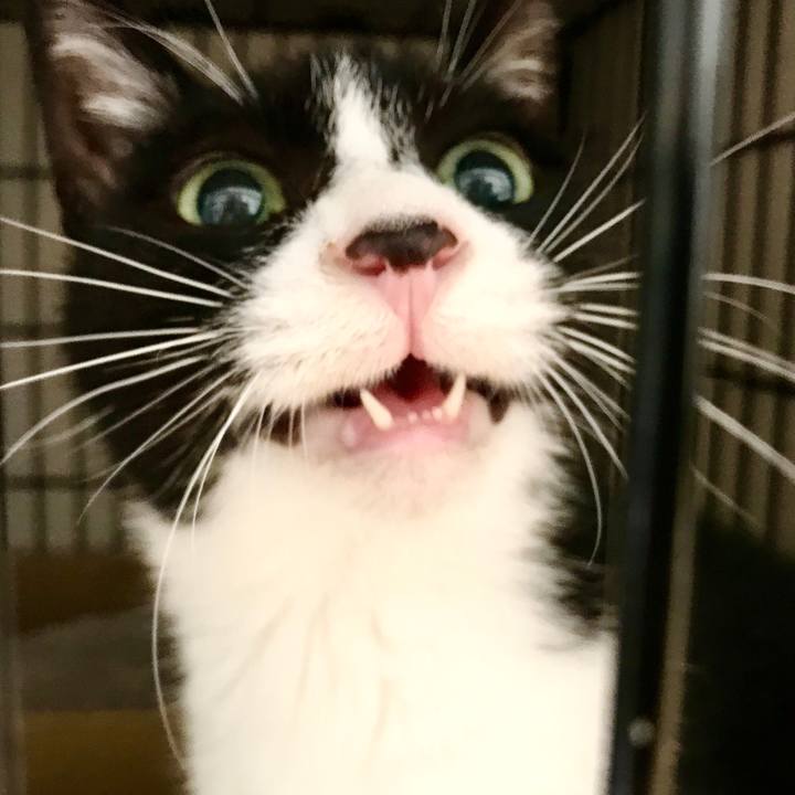 A4b5dcbd f70a 48f2 b5d8 d0f135e55384