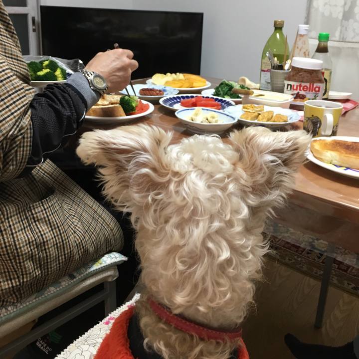 A4b725d1 34e3 469e ab0b dd1c06f3540f