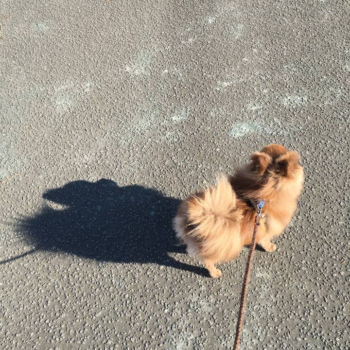 A4b7fe8c af0a 43bf a124 3ef83a5c3ad0