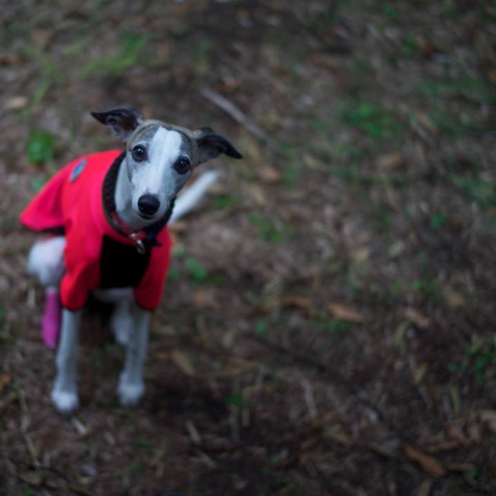 A4b83bb0 cffe 48f5 bfa0 3c248ba0c951