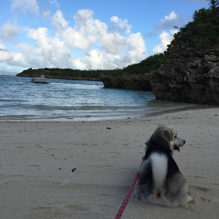 A4b8598c 892a 49d6 b443 d7c7d813f823