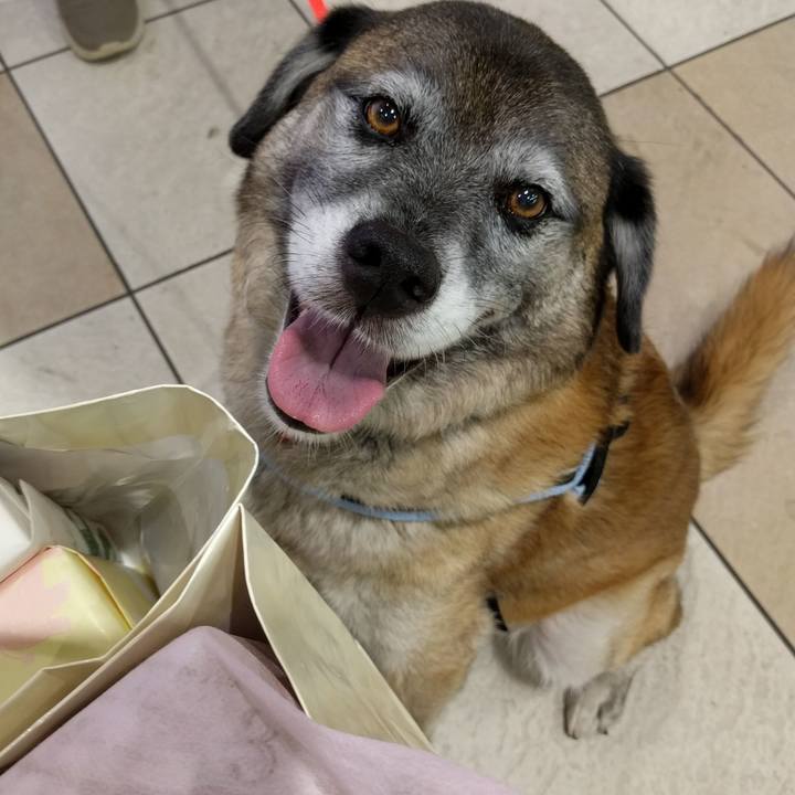 A4b87695 39b5 41e7 8613 ddacc7b73df4