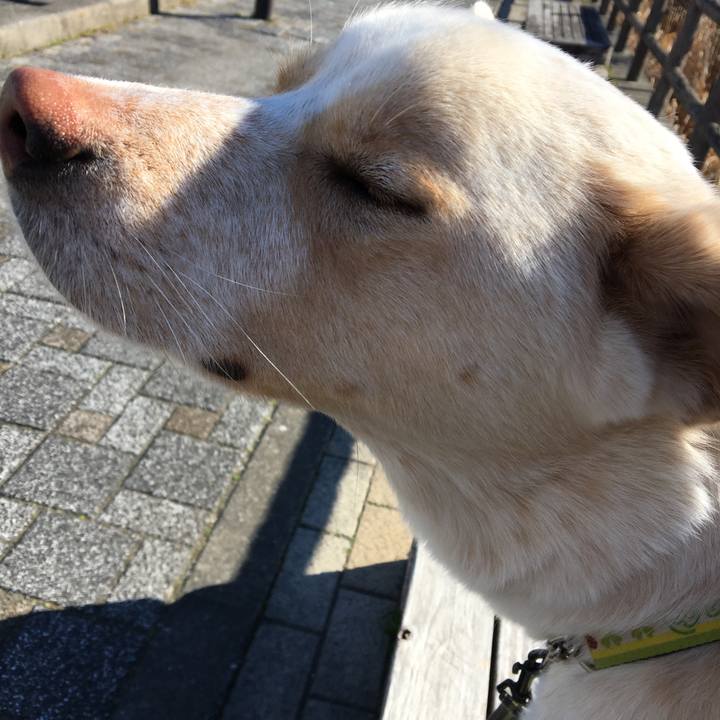 A4b8d6dc ac17 402e a496 53d5679e5a3a