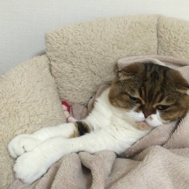 A4b91b34 4266 4841 ac36 add57dd3d2dd