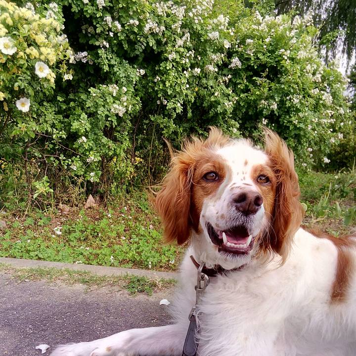 A4b961e4 e621 40a9 820a 2c1b8b7e04ff