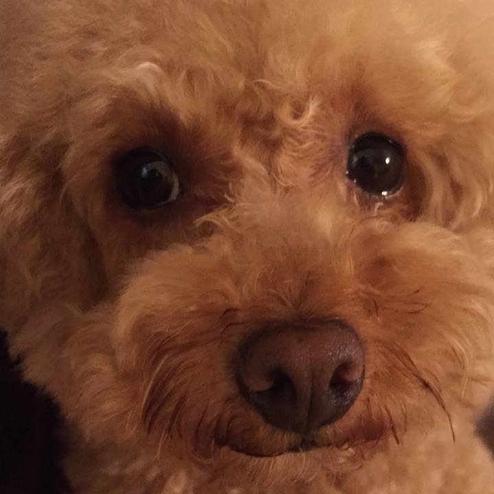 A4b96897 1622 4c10 88a5 84caf82de92e