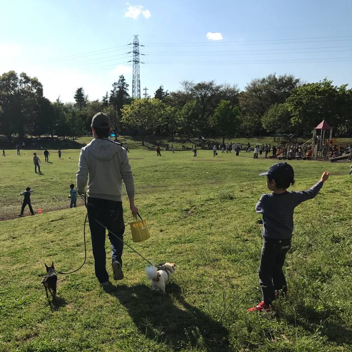 A4b9acd5 d664 43e9 9e62 88e9d130a941