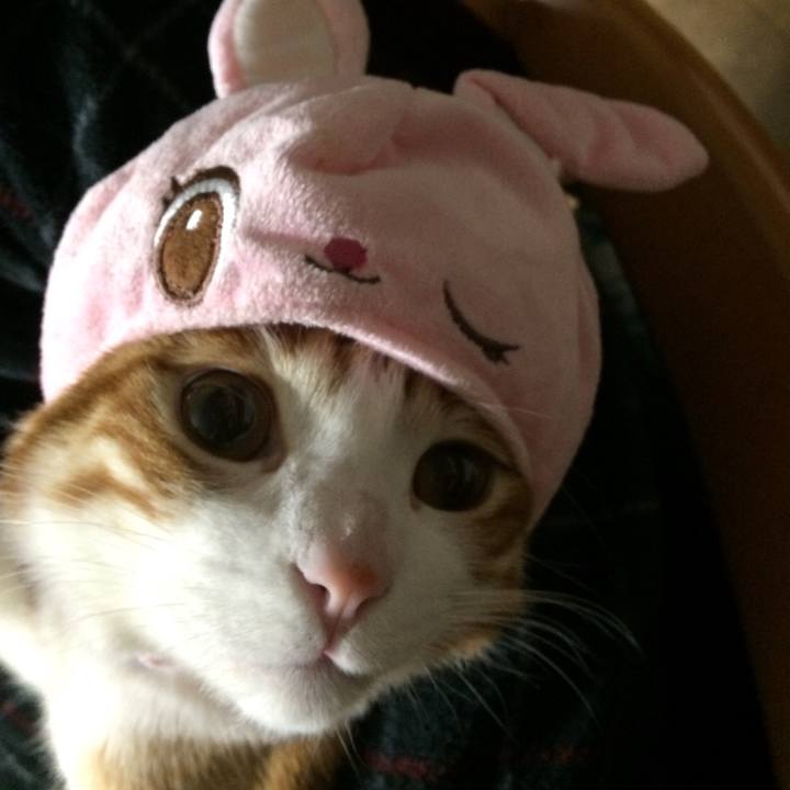 A4ba35d1 6522 4f51 b2c7 63d9944a93eb