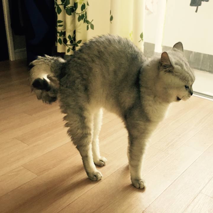 A4ba4935 51b4 47a1 880e 3c254e54de8f