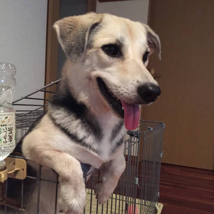 A4ba8b9f 9a3c 4fa7 855d b2377dcb817f