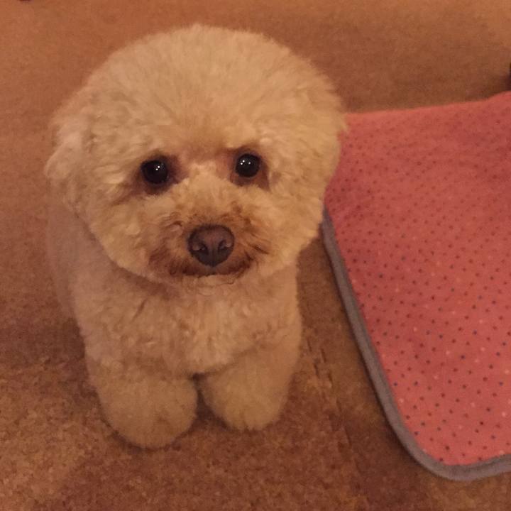 A4bac1d5 fa05 4324 a9dd 7011711e1abc