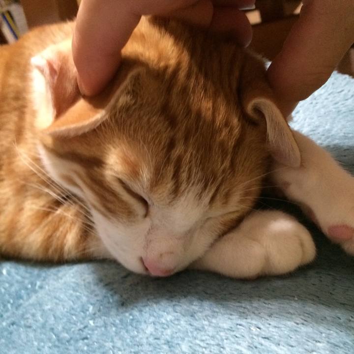 A4baf1b5 1268 4299 bc3b 03404a84834f