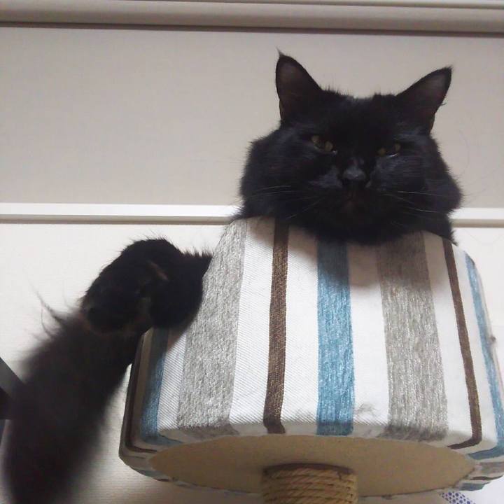 A4baf7eb 6618 4f4d 85c6 220d125a280c