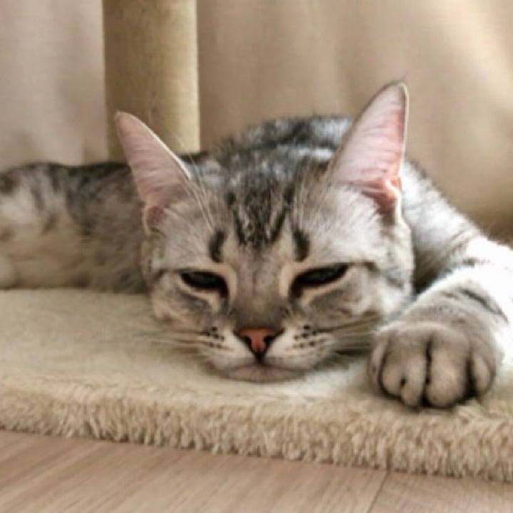 A4bb2ac3 d266 4f98 b3f3 7f76a9984c3a