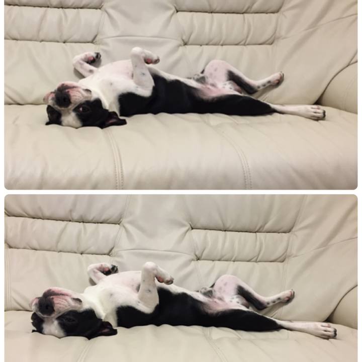 A4bb6ac8 56f5 43b1 abb7 7d2afcb126ad