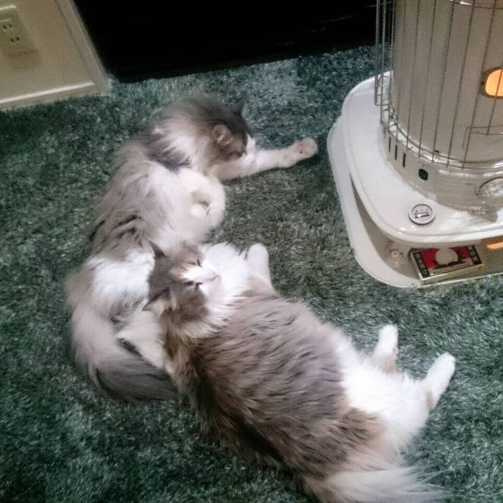 A4bb77be f8df 452b b62f fd75a9a46bc9