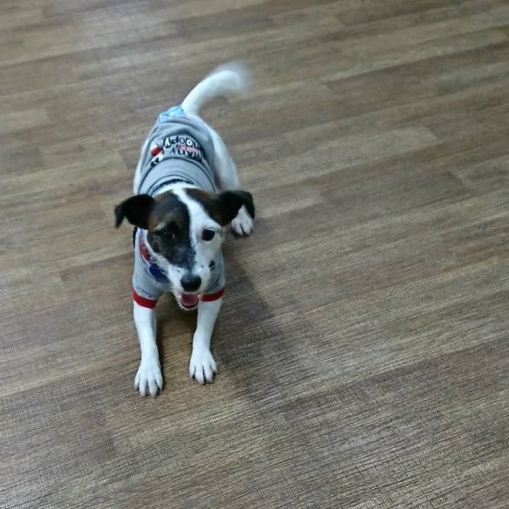 A4bca40a db9a 41c5 923e 11aea0964cf8