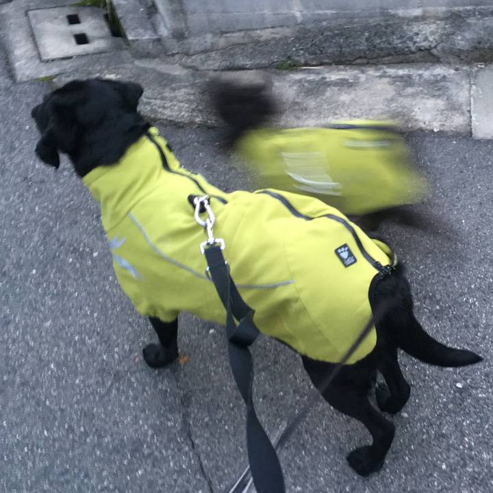 A4bcf9d4 b32e 4e18 8afc ea5993c3d9bc