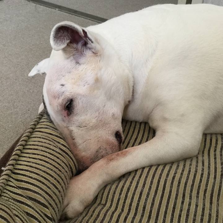 A4bd13eb 5915 4a1b 8180 ae297e6e6436