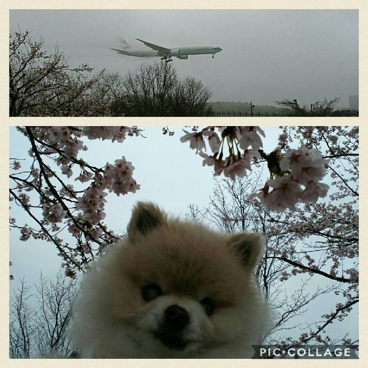 A4bdae42 c65d 49d0 9d05 e23b9fc37d61