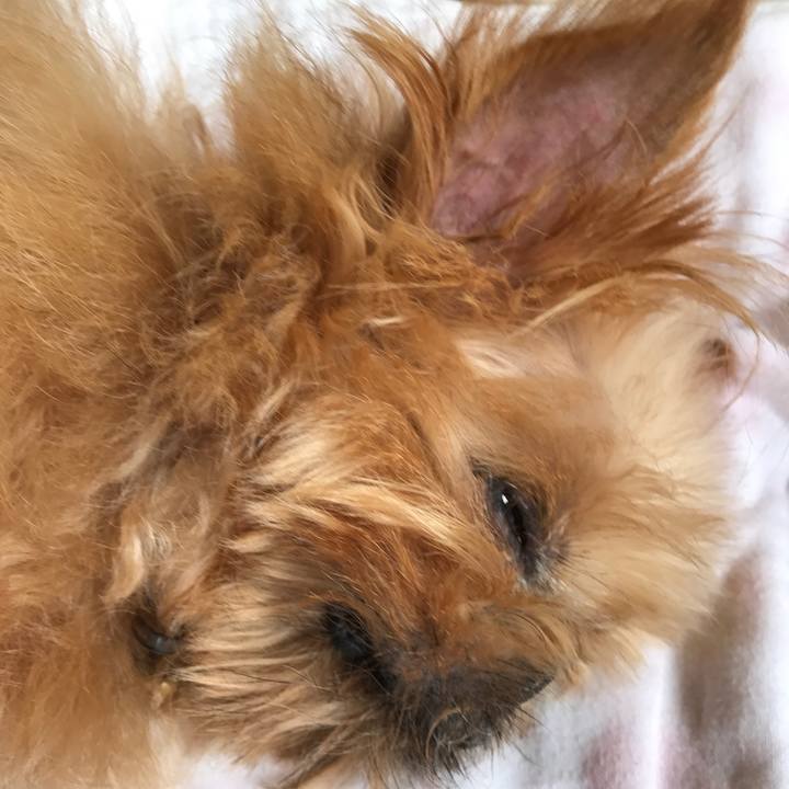 A4bde30c 57a7 499c 8ed7 58b07d625e8a