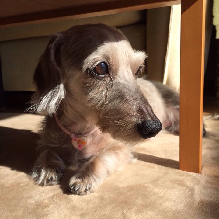 A4be7d1d 68b2 4614 8ff1 4a3fd515ba62