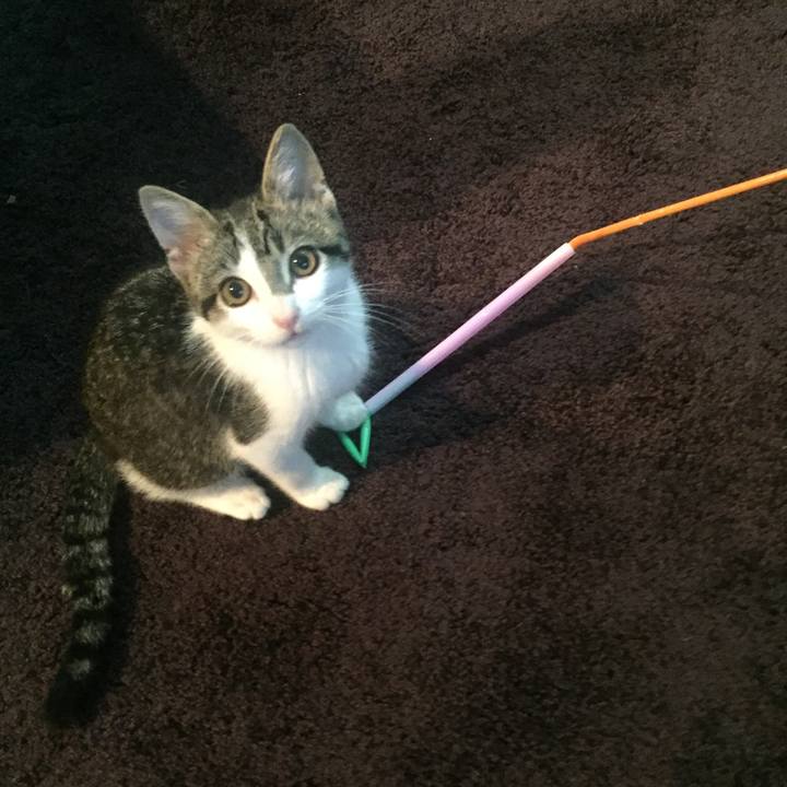 A4befd5c 2e89 41f5 b9e9 8b10c85d0e99