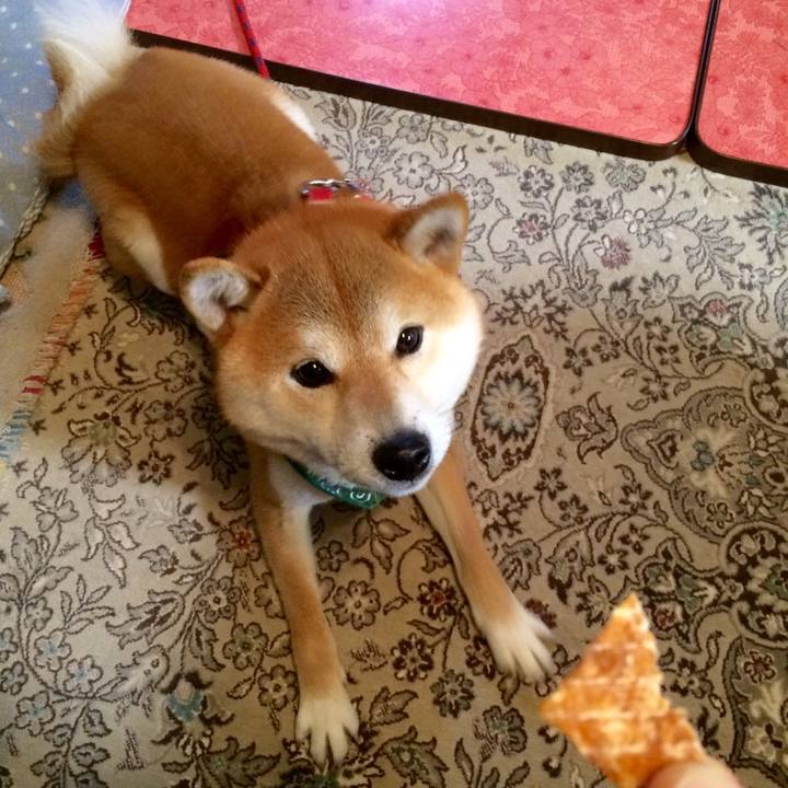 A4bf5116 968d 4066 81b8 71dde5e25f8c