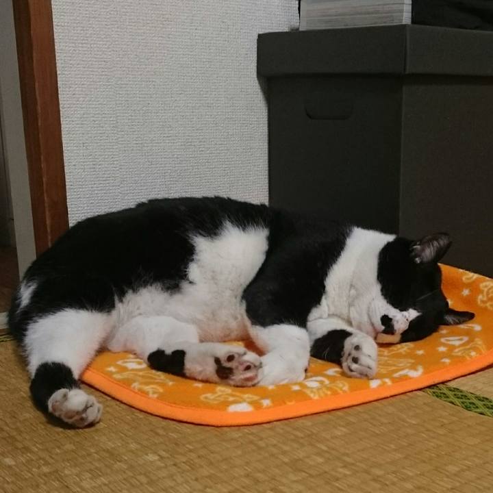 A4bf72f1 f4a3 4a85 906f 39a629901a5d