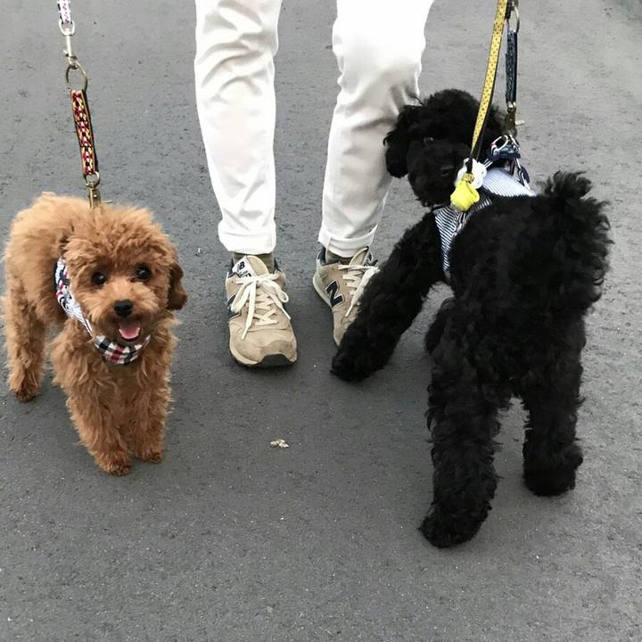 A4bff6be 9374 408d bde9 ddf6f0647609