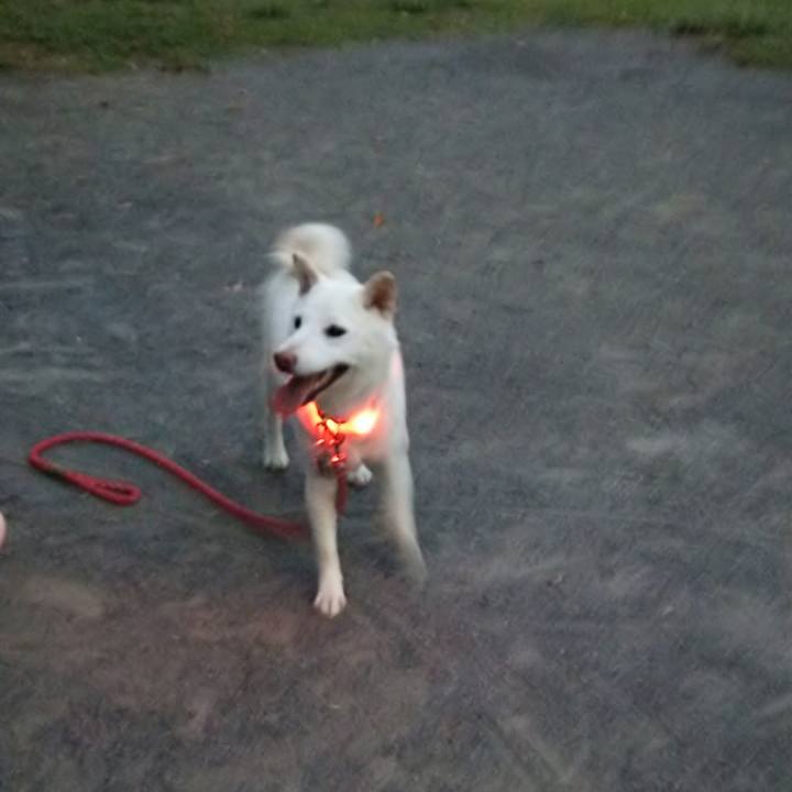 A4c00884 2133 4a3e 9155 77b0f34e0e76