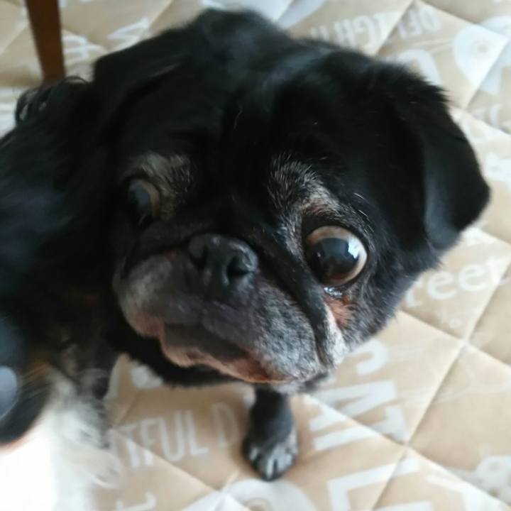 A4c04bb2 eb8a 446b 96b6 0126ecf313b0