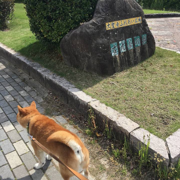 A4c063f5 901d 406d 9f87 13342329df84