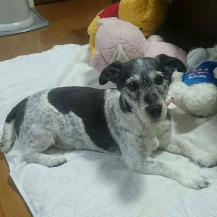 A4c09131 e9d9 4014 a705 6d4ed1798667