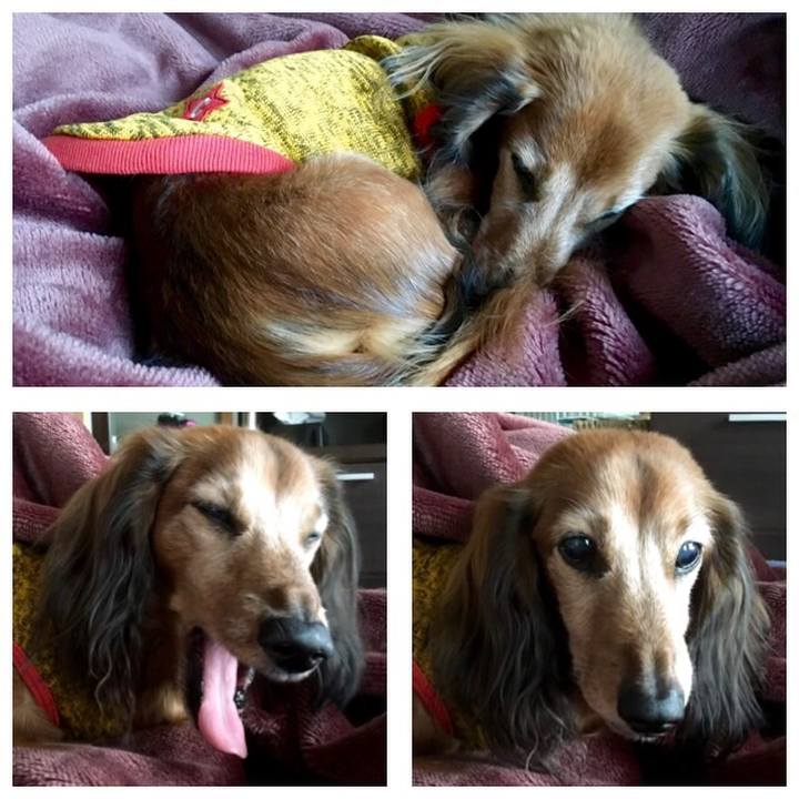 A4c12da1 ce9c 430a 820a 9d24f753ff10