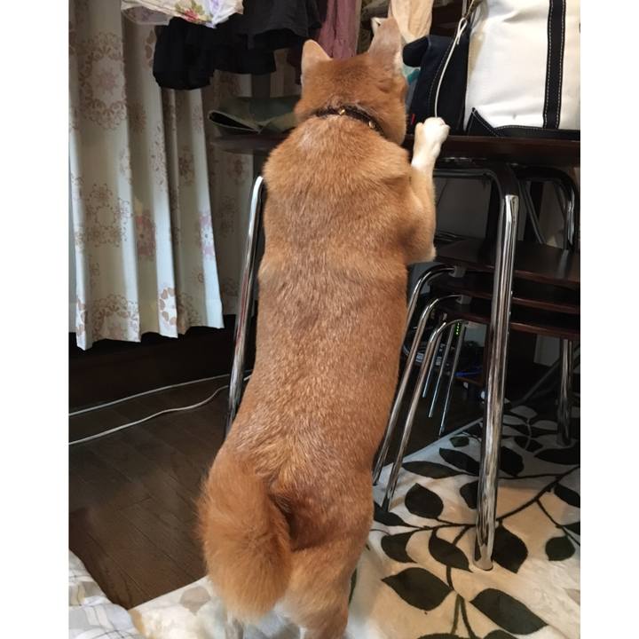 A4c1500e cde0 4f69 9f72 833f09252ae6