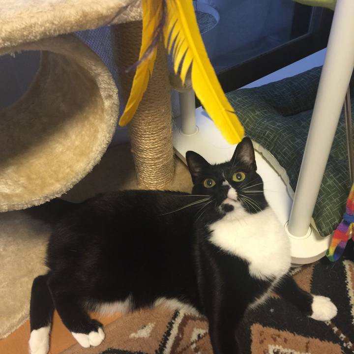 A4c28fd5 3815 4936 a35c 246d1f52a590