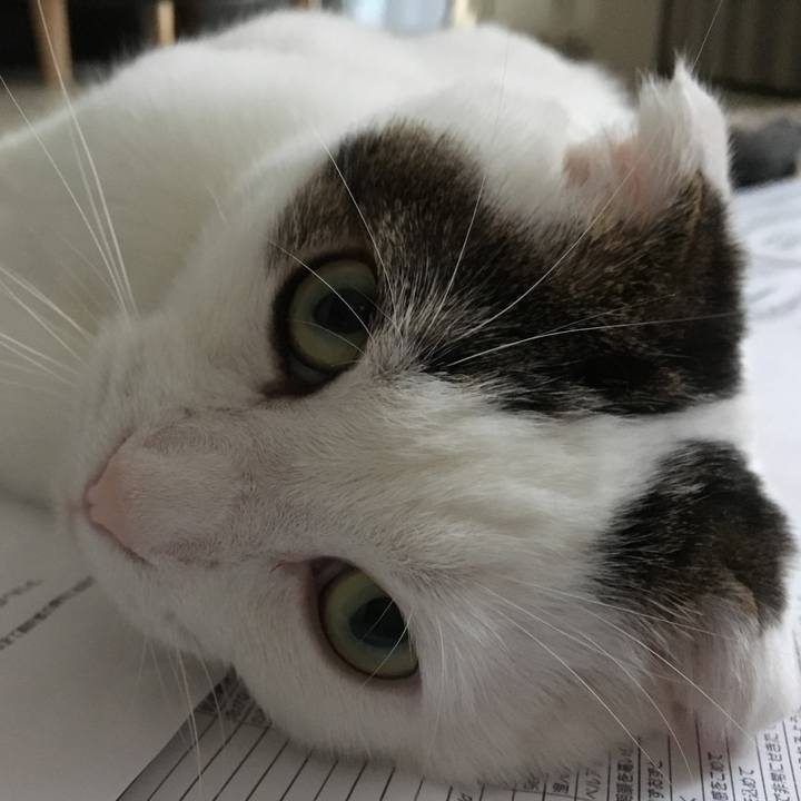 A4c36f2f 0755 479c 871c 3156283ff130