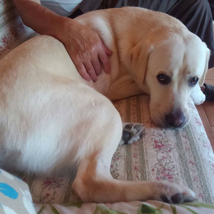 A4c3c330 462b 4c24 bd66 7d5b8997f77c