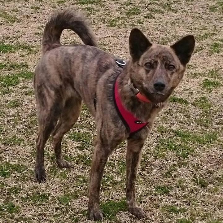 A4c41e50 ccd2 4eee bd58 003f242b410f