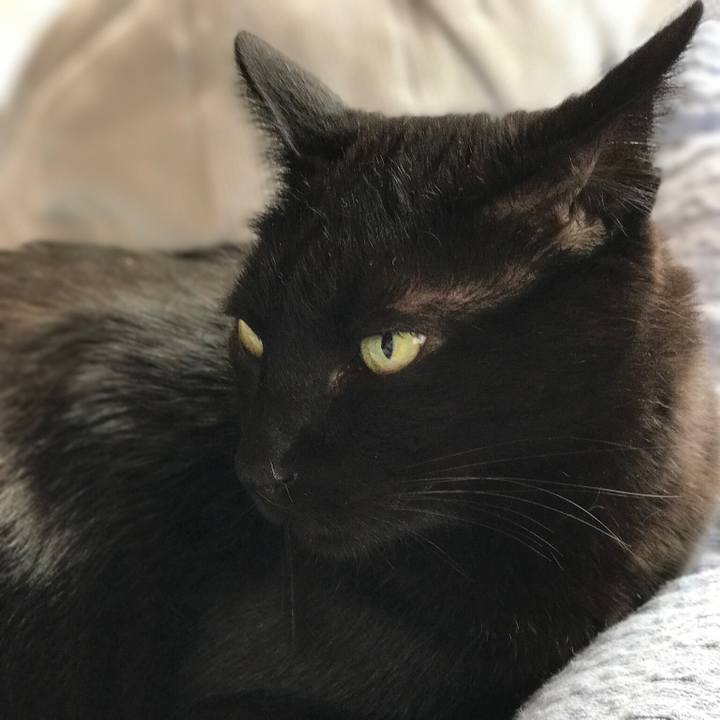 A4c421c7 2cff 47fa 8413 a4953f4720d9