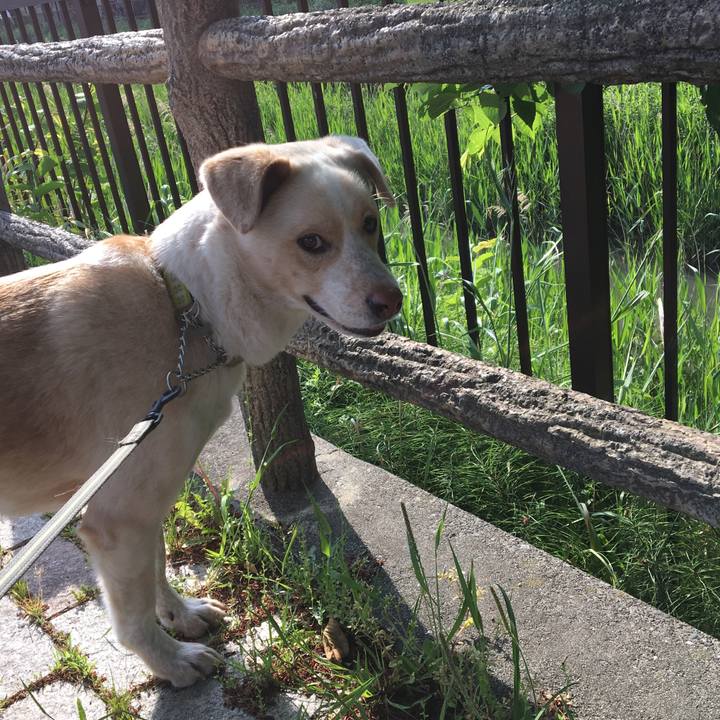 A4c47f1c 9b6d 4045 9822 c1c8f07b973f