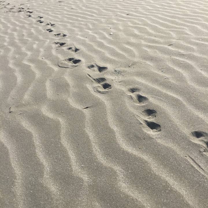 A4c49668 9179 427f 91eb 6bbf6e27e0e8