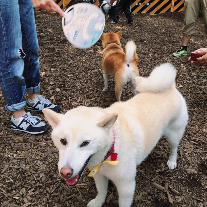 A4c52ae0 a044 463a a41c 8fddc3afd9da